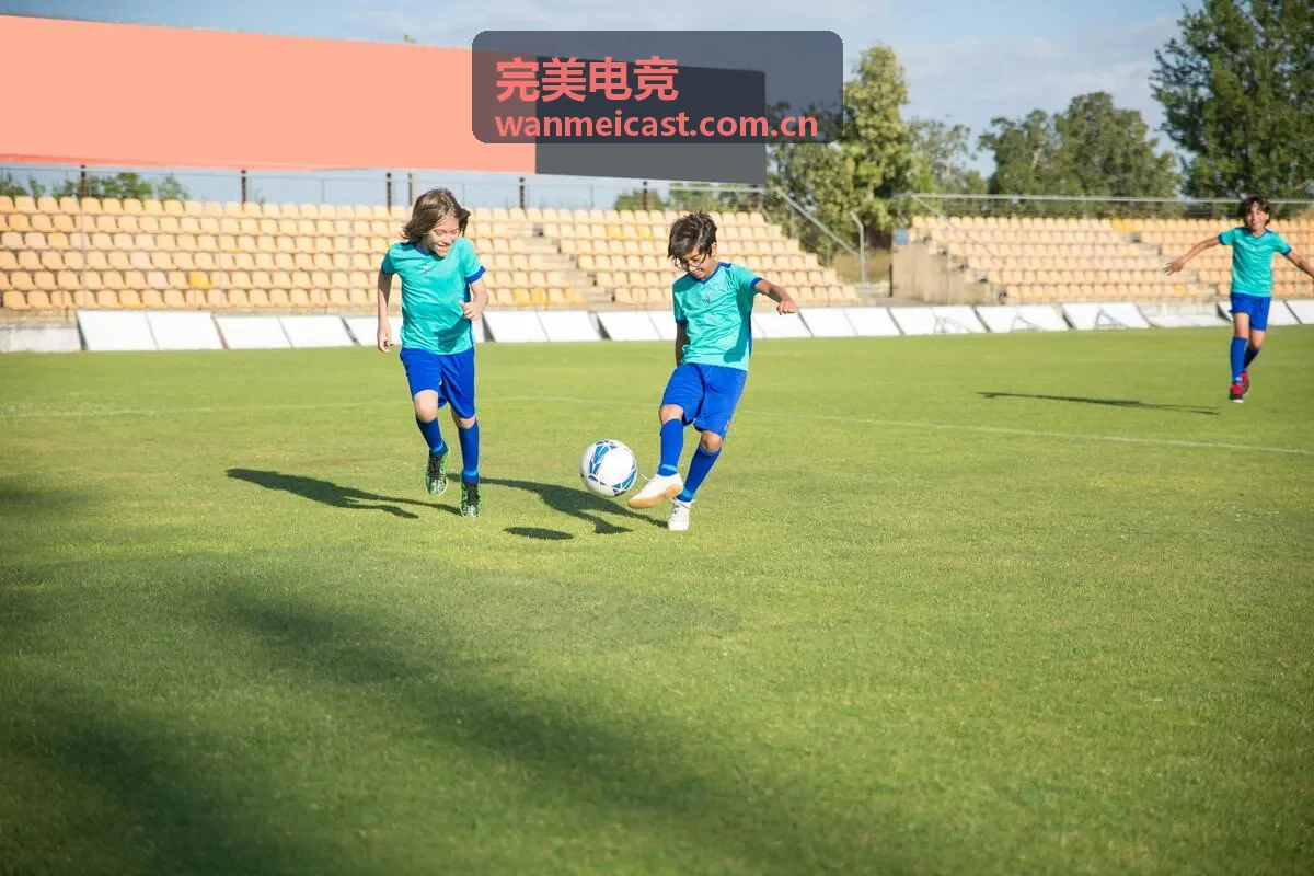 完美电竞直播大厅封面